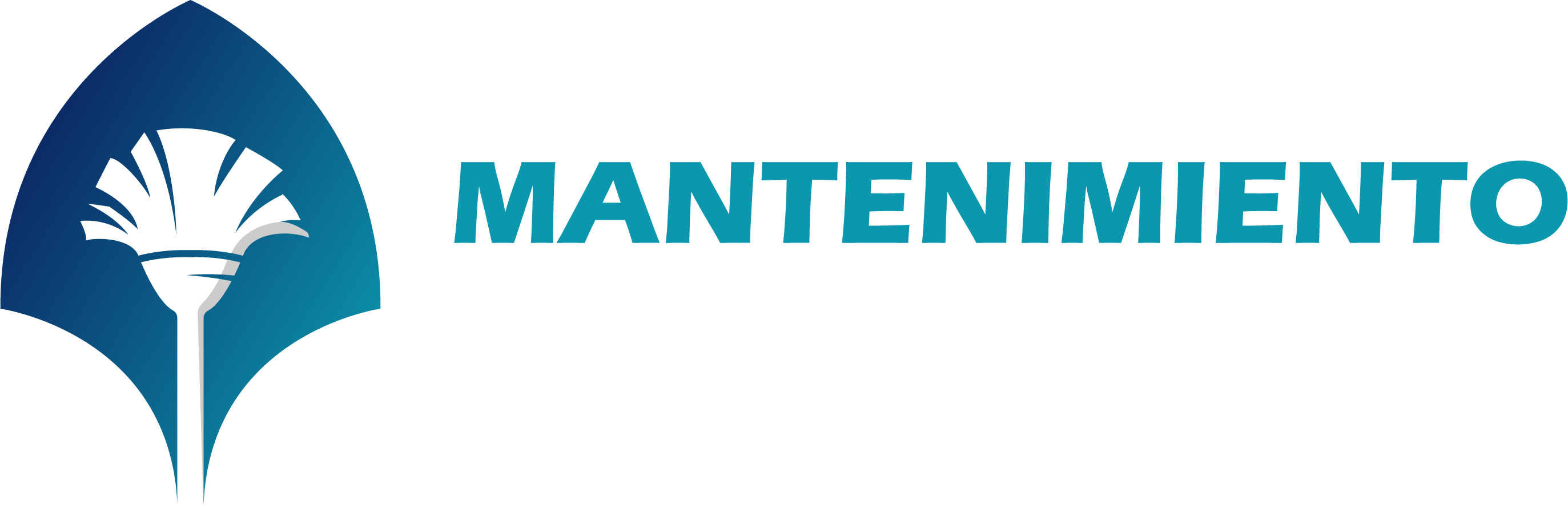 PMS MANTENIMIENTO DEL SUR