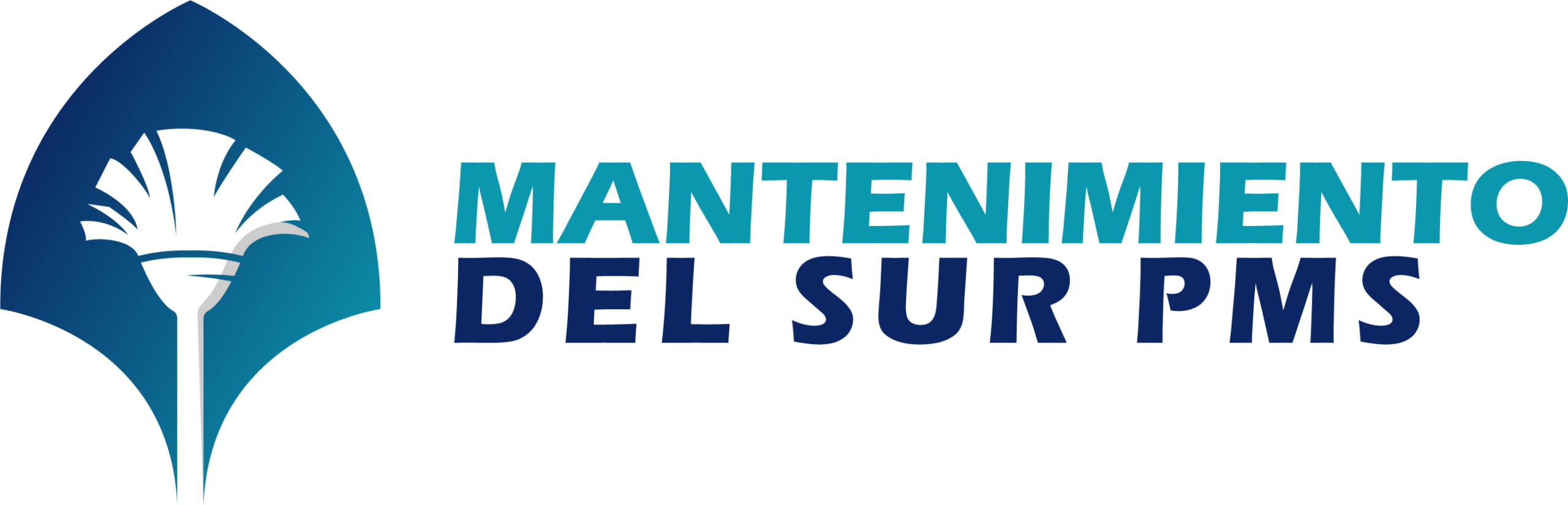 PMS MANTENIMIENTO DEL SUR